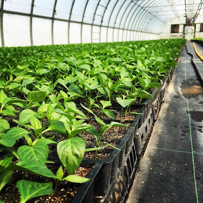 Sheppard Farms Inc
