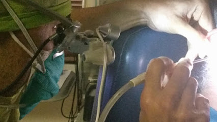 Audiologist Sherman Oaks Ear and Hearing Aid institute - Tinnitus, Musician Devices, Hearing Loss Specialist
